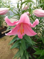 [4228 Mansfield No102.JPG]